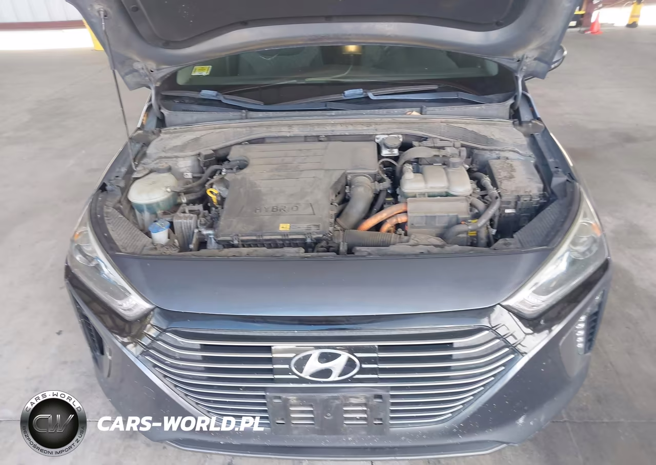 2017 Hyundai Ioniq Hybrid Sel VIN:KMHC75LC8HU036532 - 10