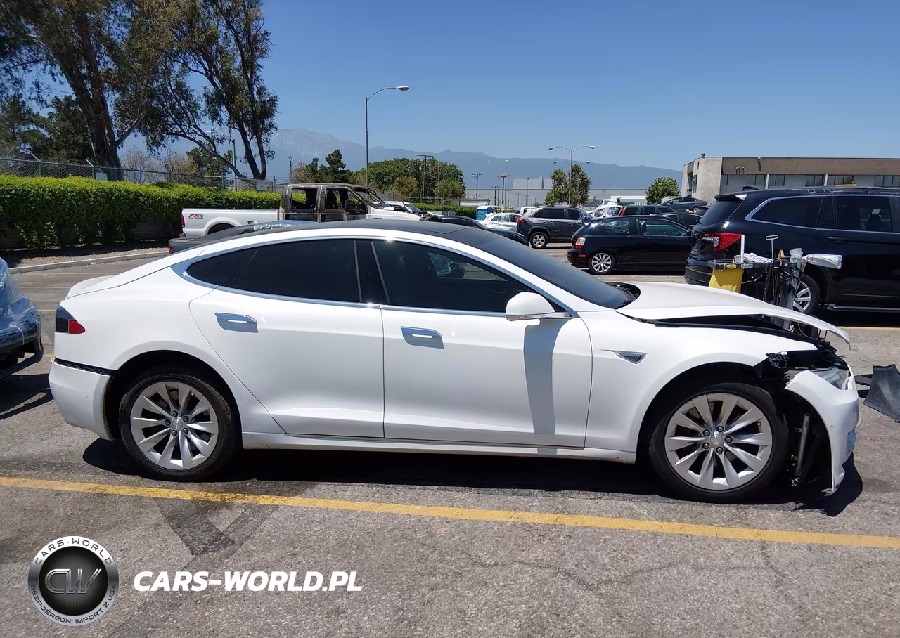2016 Tesla Model S 60-70-75-85 VIN:5YJSA1E11GF149882 - 13
