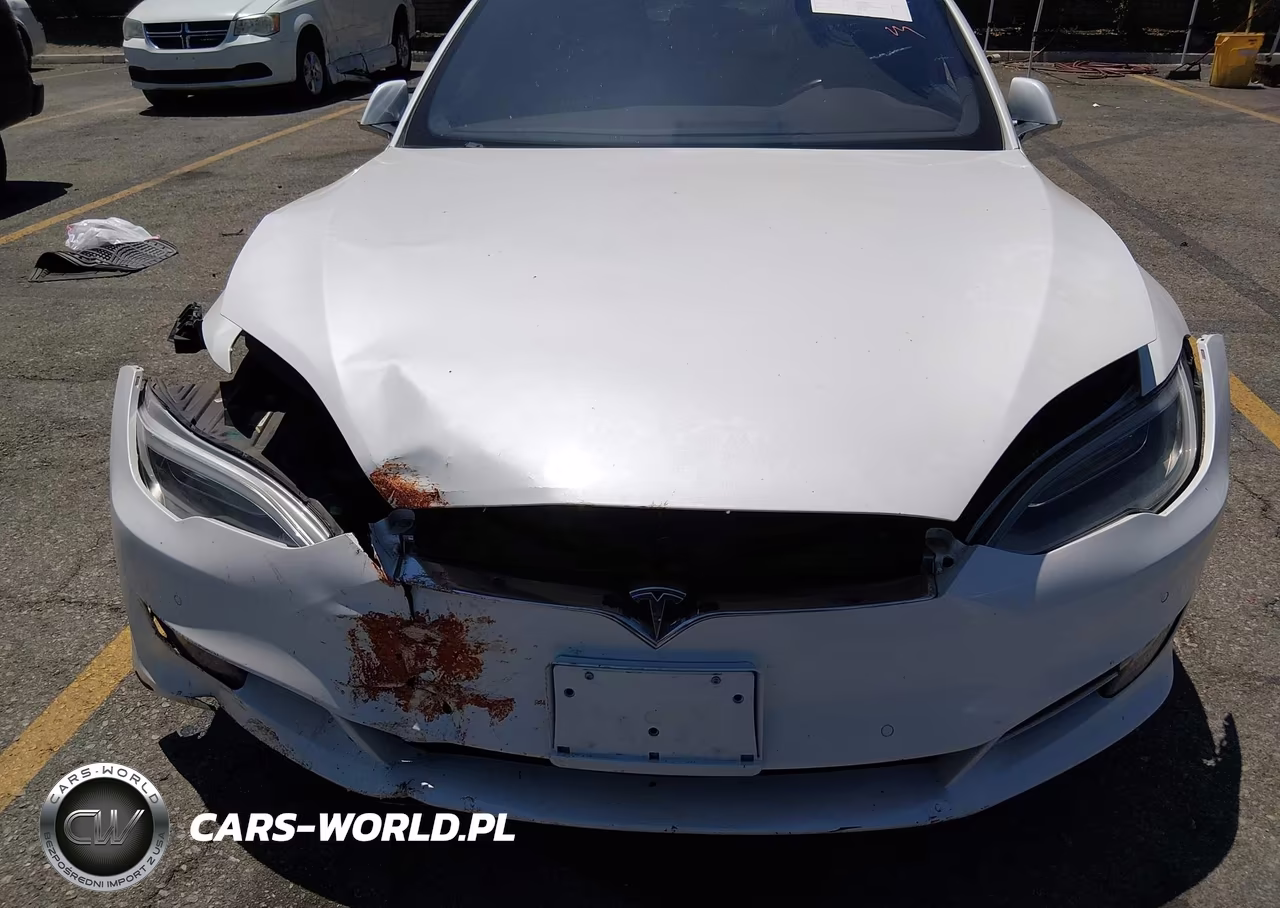 2016 Tesla Model S 60-70-75-85 VIN:5YJSA1E11GF149882 - 19