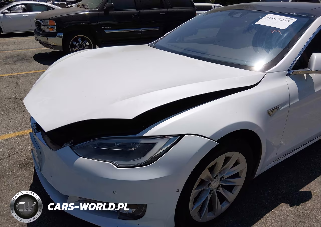2016 Tesla Model S 60-70-75-85 VIN:5YJSA1E11GF149882 - 20
