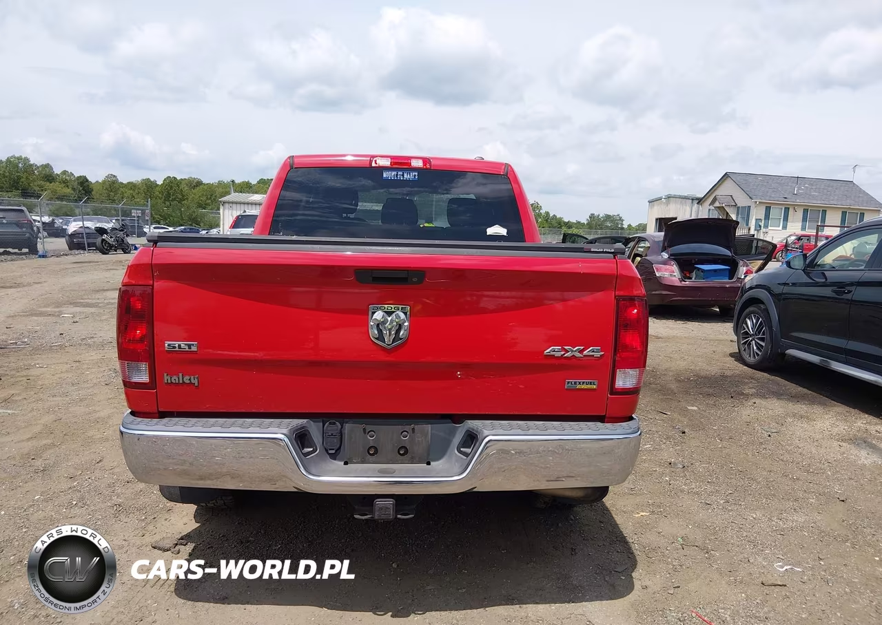 2010 Dodge Ram 1500 Slt-Sport-Trx VIN:1D7RV1CP8AS194229 - 16