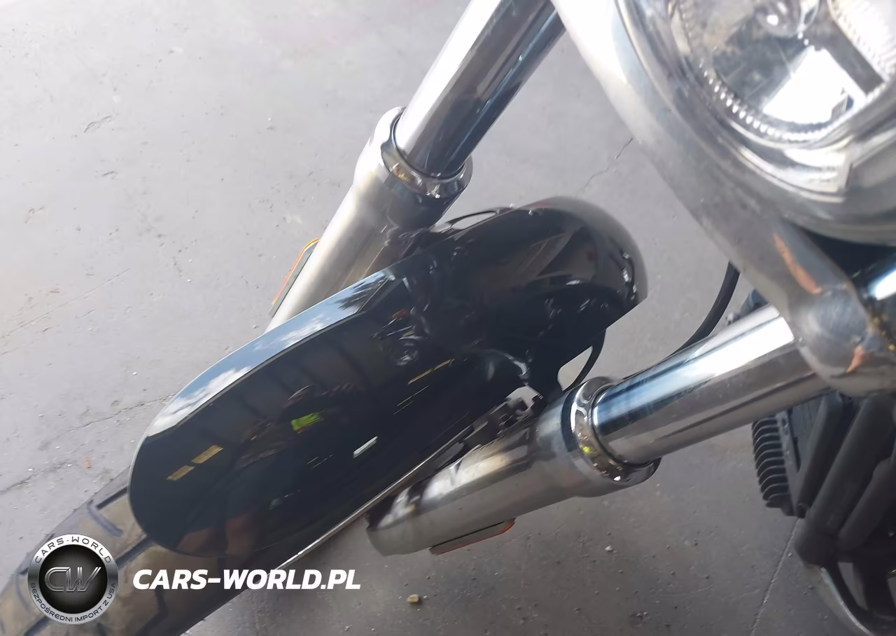 2019 Harley-Davidson Fxlr VIN:1HD1YNJ28KB067008 - 17