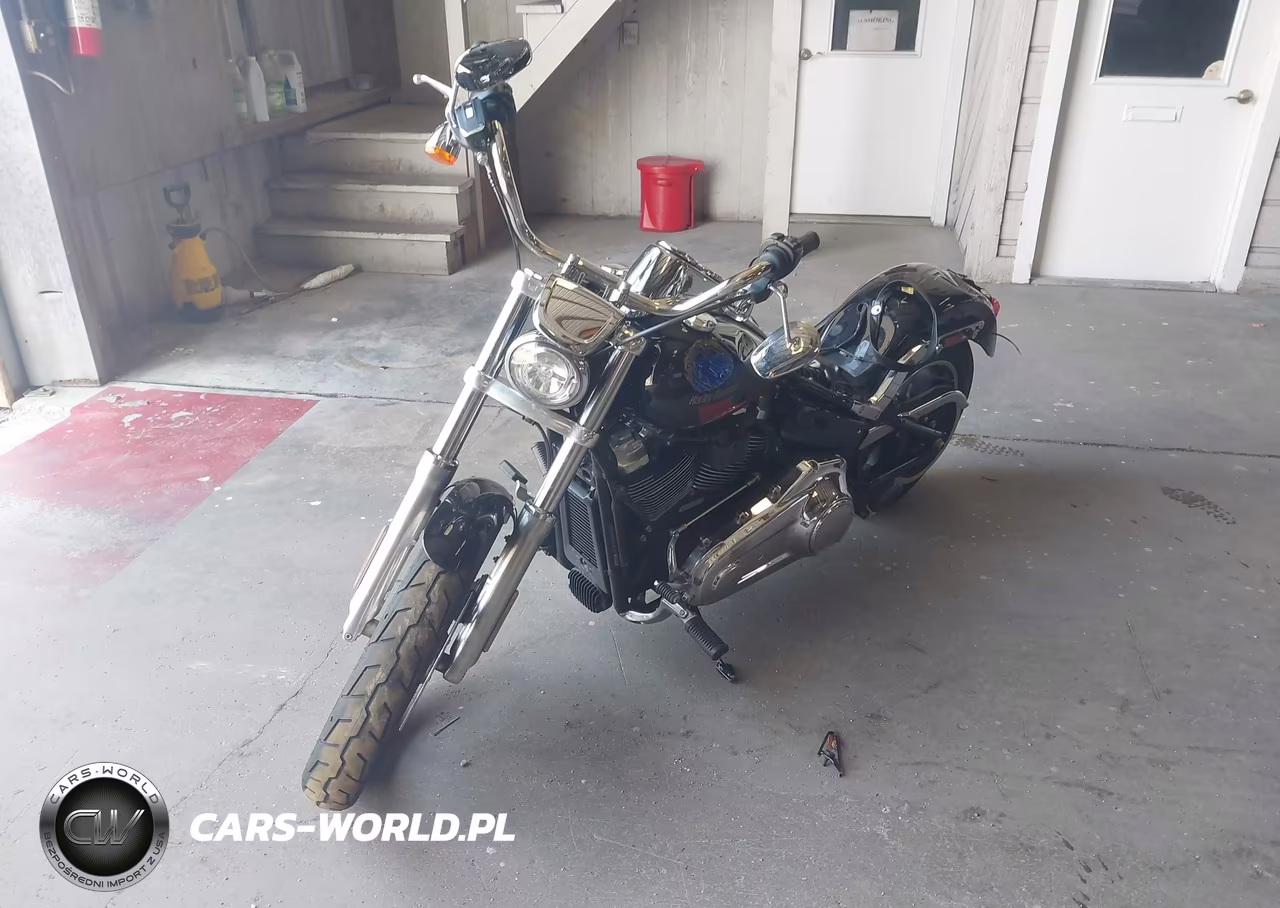 2019 Harley-Davidson Fxlr VIN:1HD1YNJ28KB067008 - 2