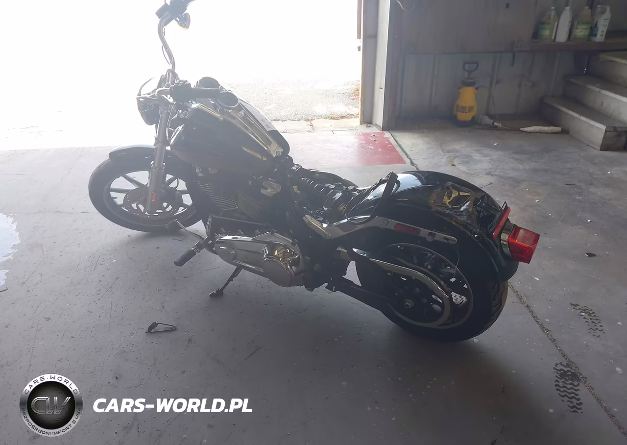 2019 Harley-Davidson Fxlr VIN:1HD1YNJ28KB067008 - 3