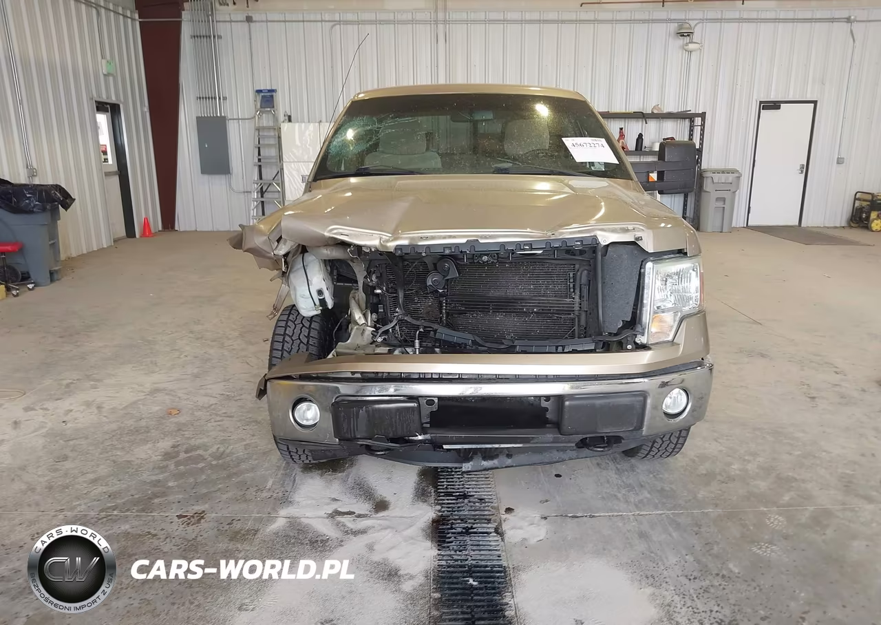 2011 Ford F-150 Xlt VIN:1FTFW1EF8BFB48702 - 13