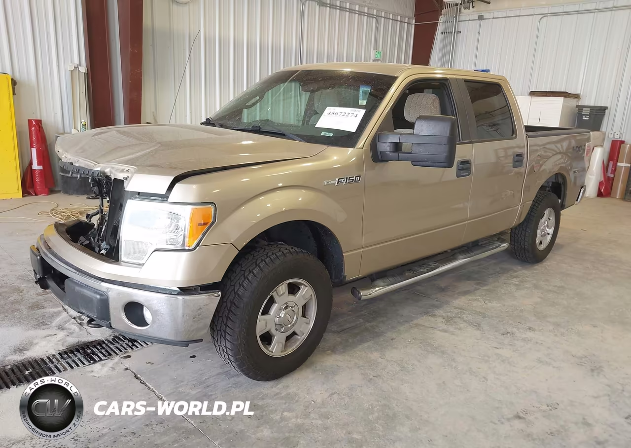 2011 Ford F-150 Xlt VIN:1FTFW1EF8BFB48702 - 2