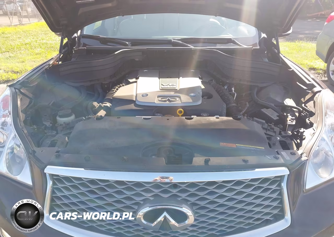 2017 Infiniti Qx50 VIN:JN1BJ0RR7HM406209 - 10