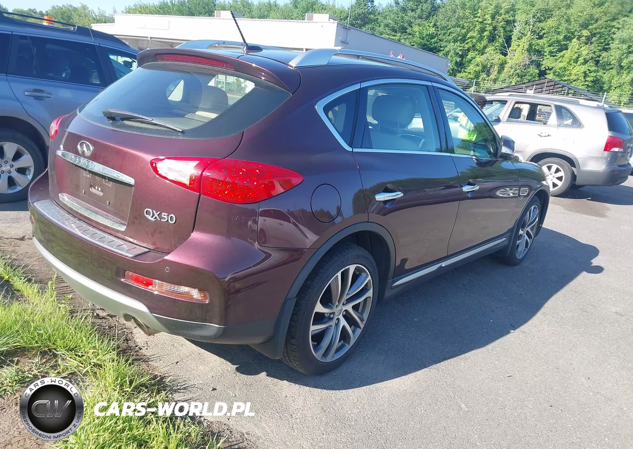2017 Infiniti Qx50 VIN:JN1BJ0RR7HM406209 - 4