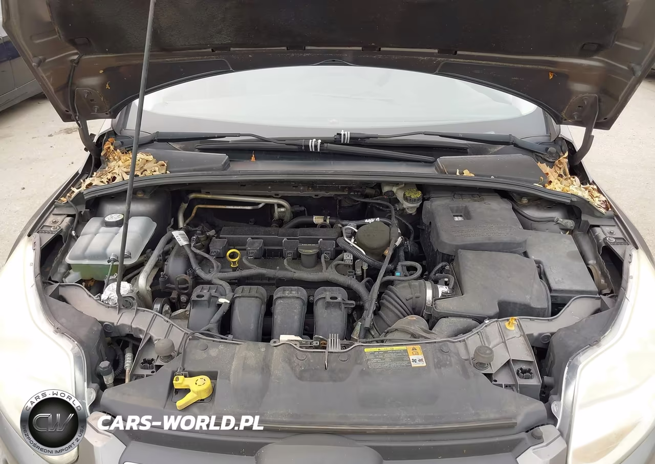2012 Ford Focus Se VIN:1FAHP3F26CL196088 - 10