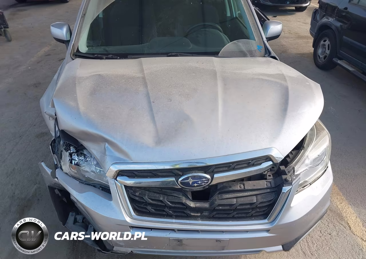 2018 Subaru Forester 2.5I Premium VIN:JF2SJAGC3JH524131 - 19