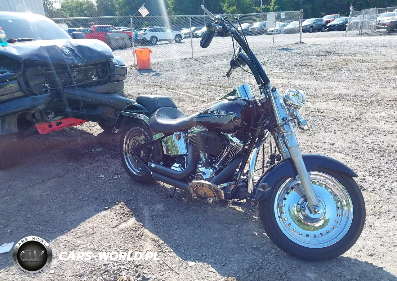 2010 Harley-Davidson Flstf