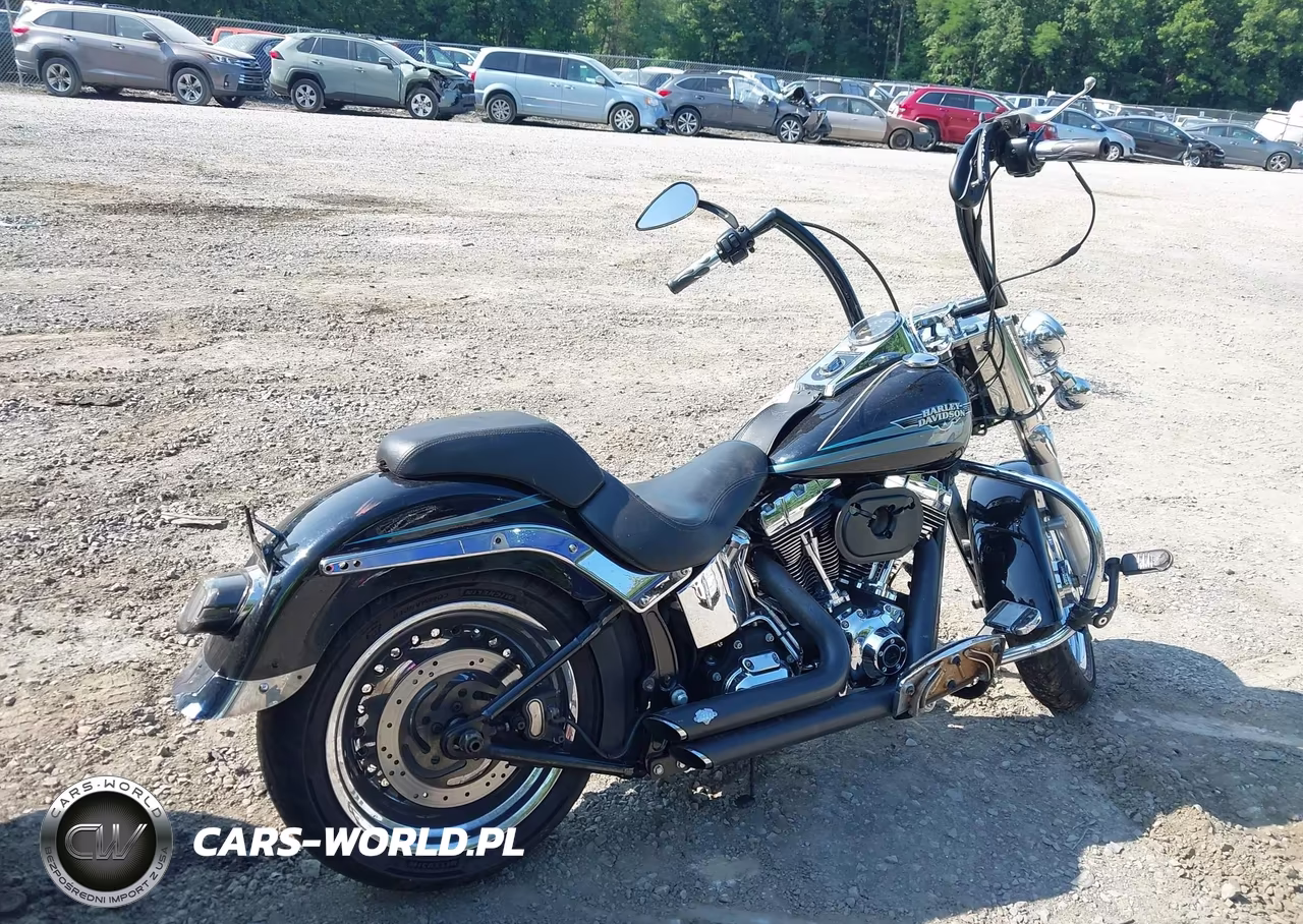 2010 Harley-Davidson Flstf VIN:1HD1BX511AB044859 - 12