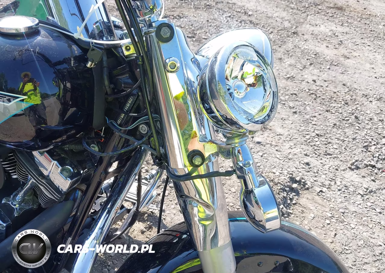 2010 Harley-Davidson Flstf VIN:1HD1BX511AB044859 - 14