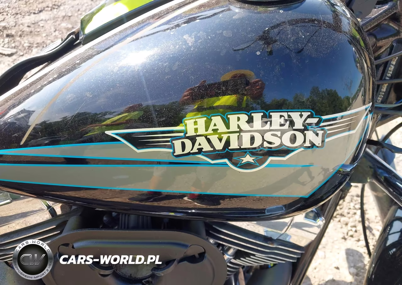 2010 Harley-Davidson Flstf VIN:1HD1BX511AB044859 - 18