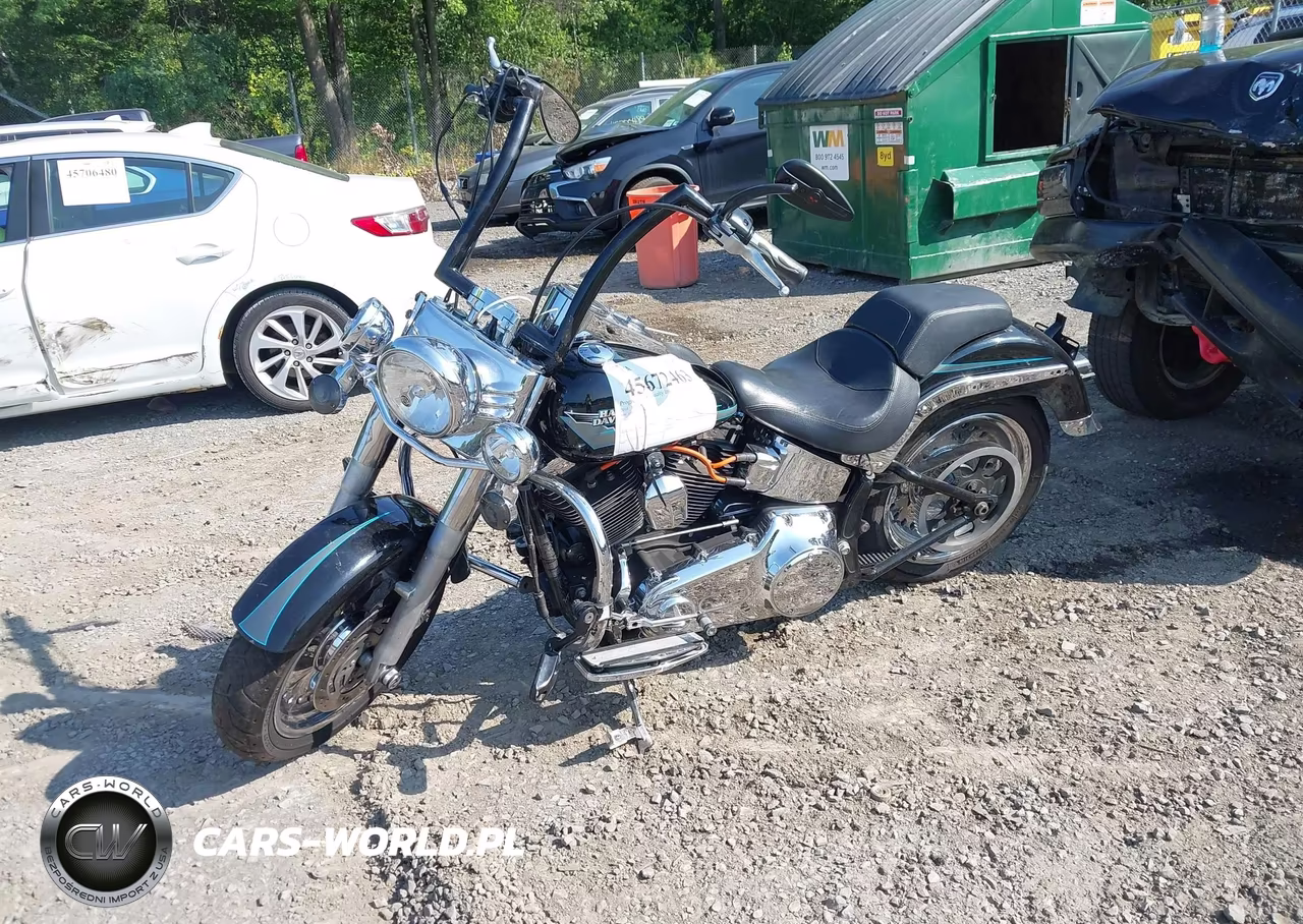 2010 Harley-Davidson Flstf VIN:1HD1BX511AB044859 - 2