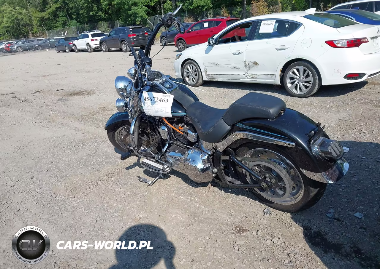 2010 Harley-Davidson Flstf VIN:1HD1BX511AB044859 - 3