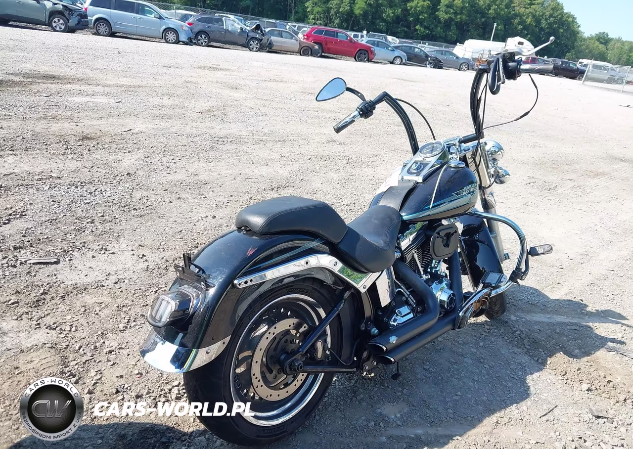 2010 Harley-Davidson Flstf VIN:1HD1BX511AB044859 - 4