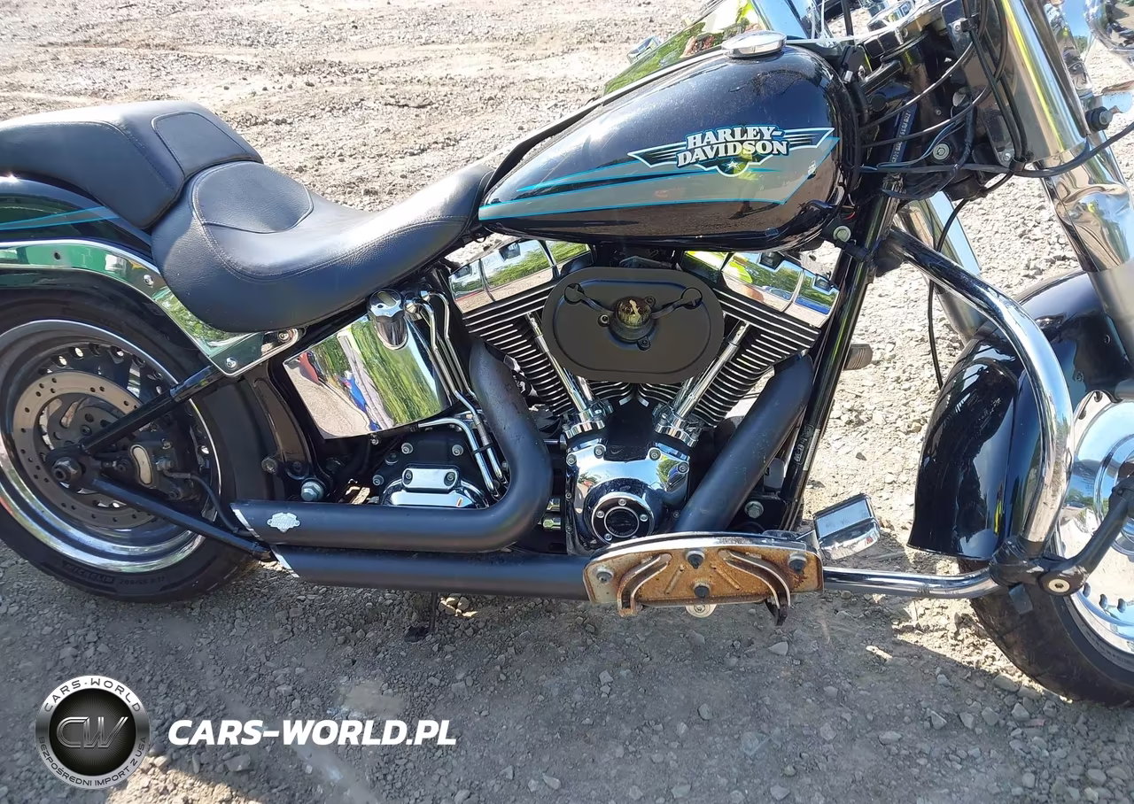 2010 Harley-Davidson Flstf VIN:1HD1BX511AB044859 - 8