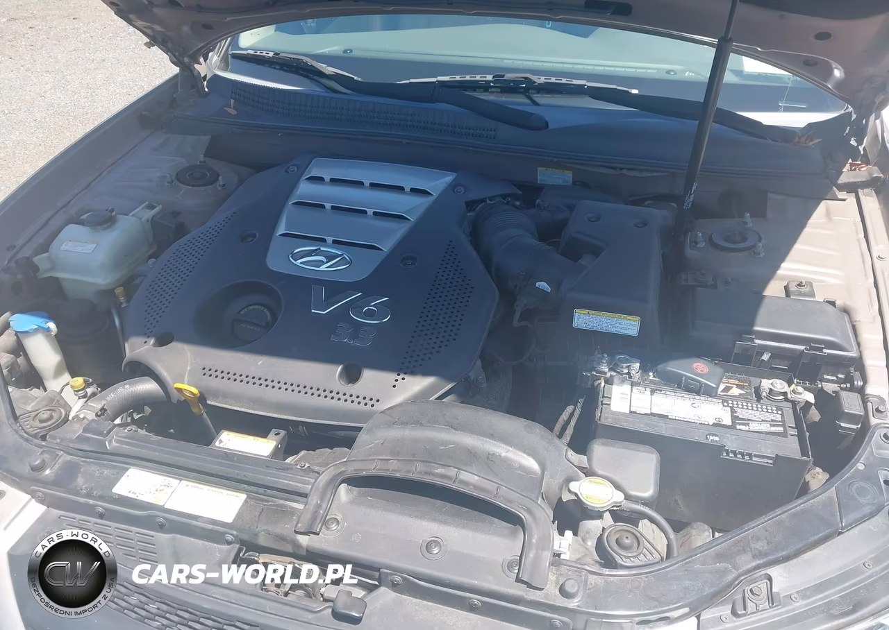 2006 Hyundai Sonata Gls V6-Lx V6 VIN:5NPEU46F96H044300 - 10