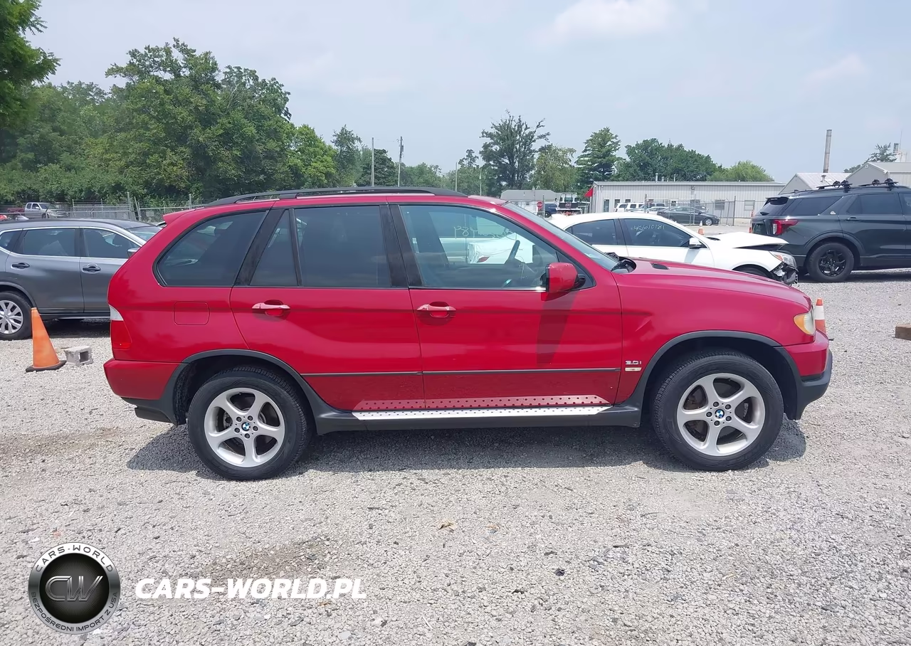 2003 BMW X5 3.0I VIN:5UXFA53553LV98454 - 13