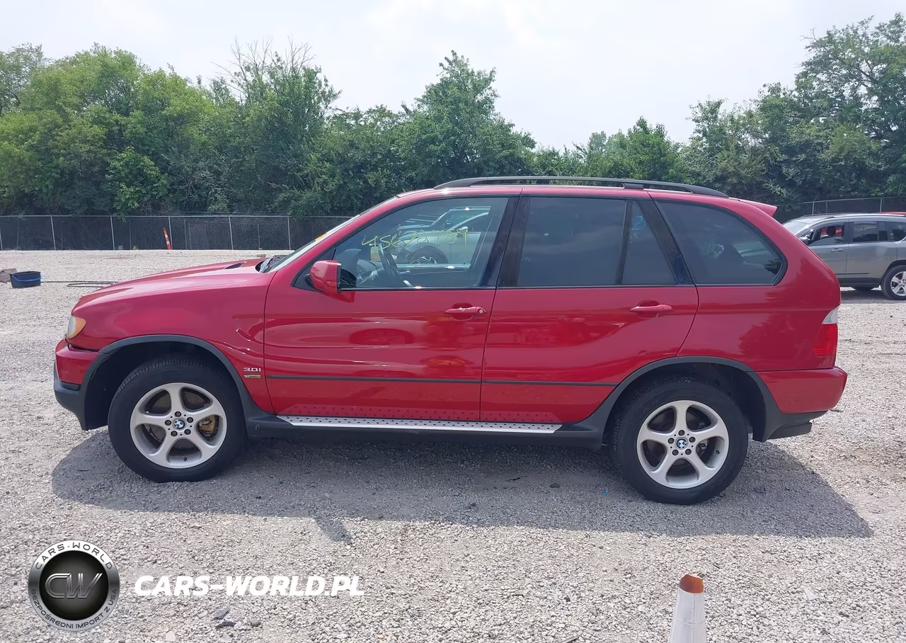 2003 BMW X5 3.0I VIN:5UXFA53553LV98454 - 14