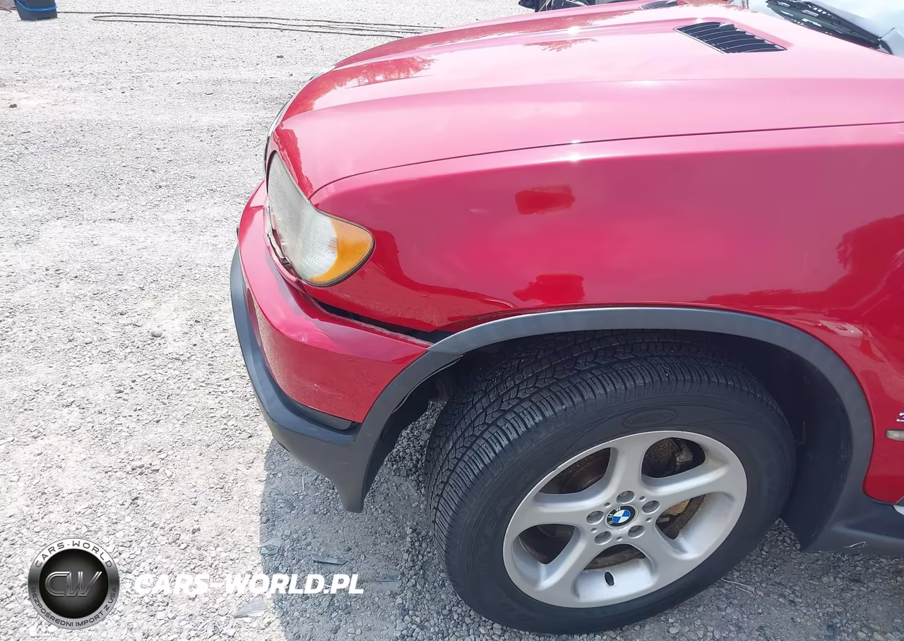 2003 BMW X5 3.0I VIN:5UXFA53553LV98454 - 17