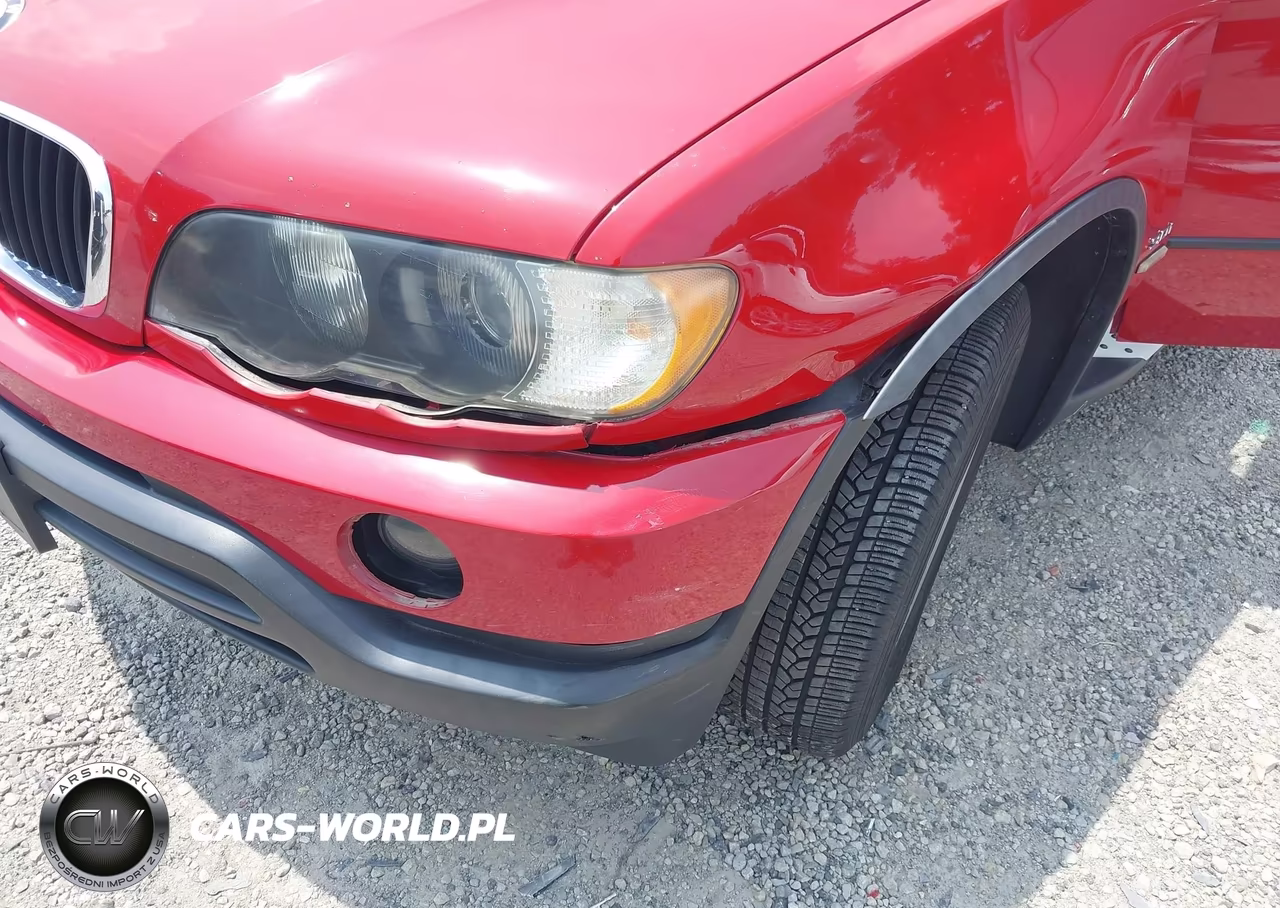 2003 BMW X5 3.0I VIN:5UXFA53553LV98454 - 18
