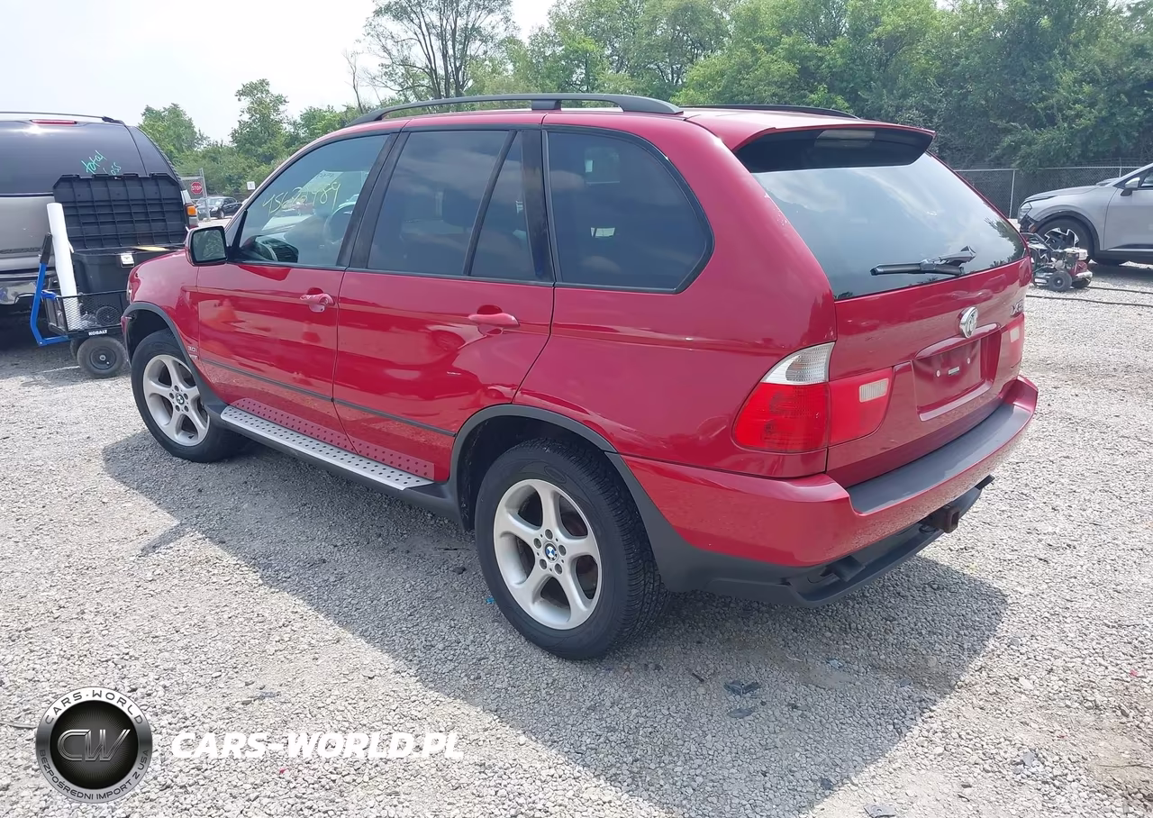2003 BMW X5 3.0I VIN:5UXFA53553LV98454 - 3