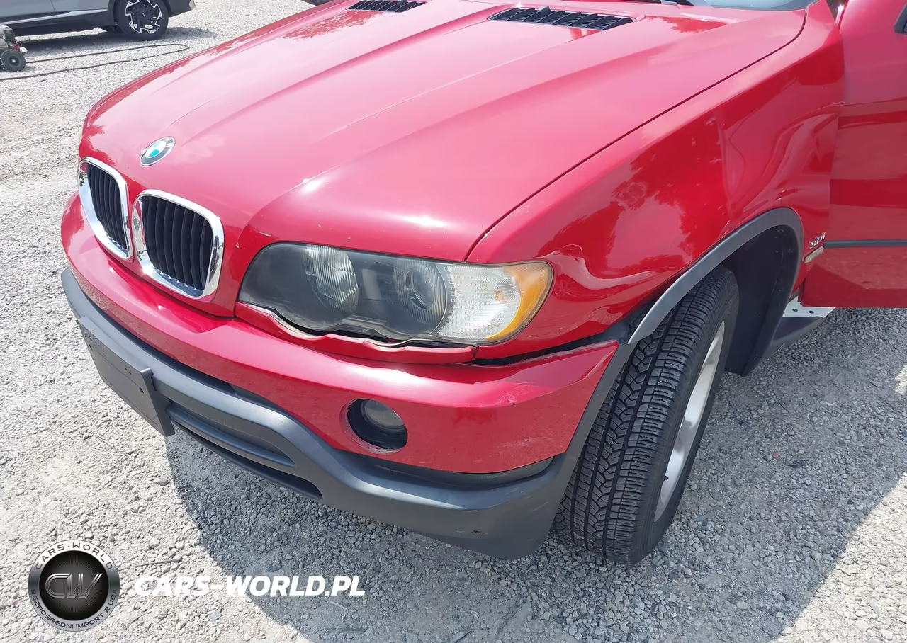 2003 BMW X5 3.0I VIN:5UXFA53553LV98454 - 6