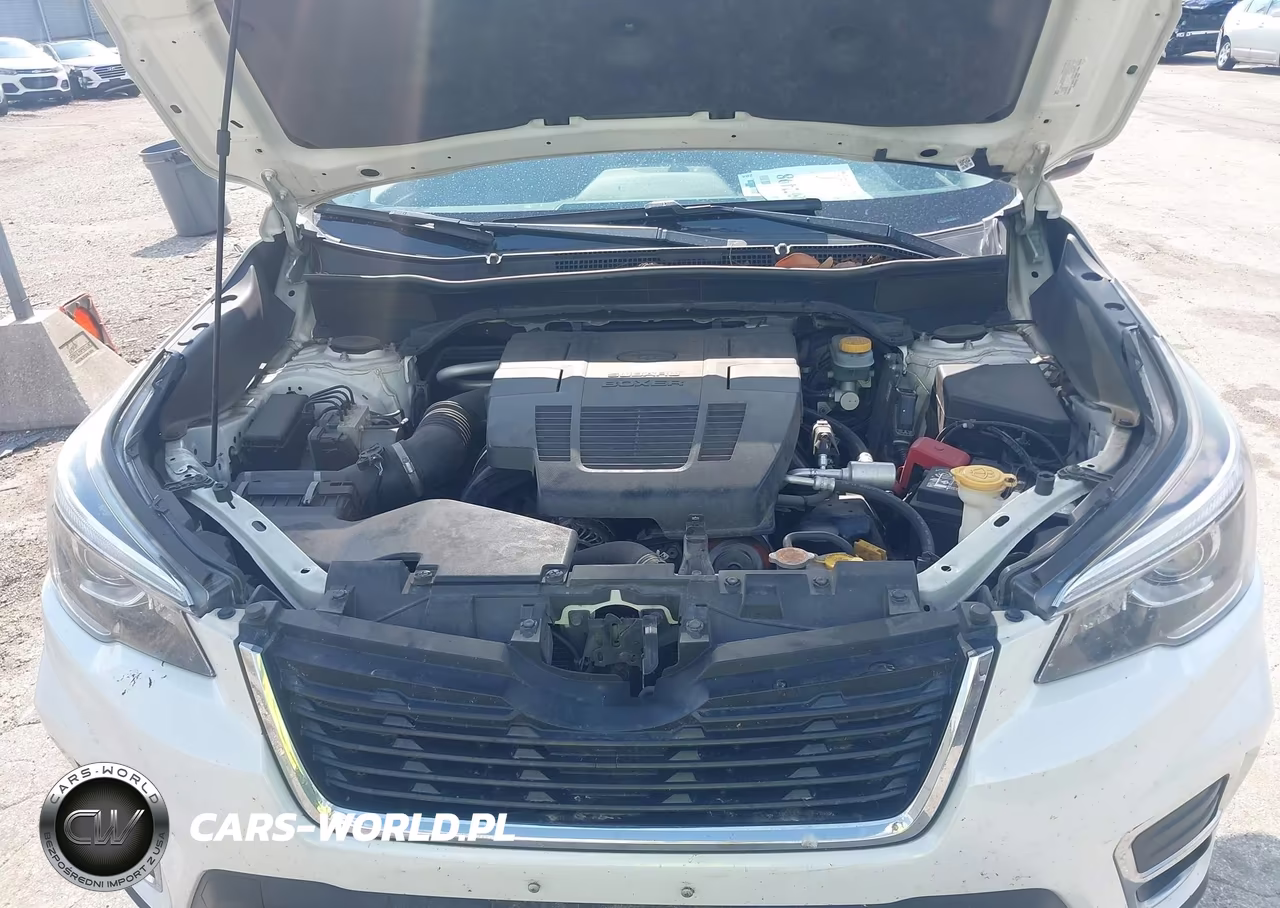2019 Subaru Forester Limited VIN:JF2SKAUC0KH540399 - 10