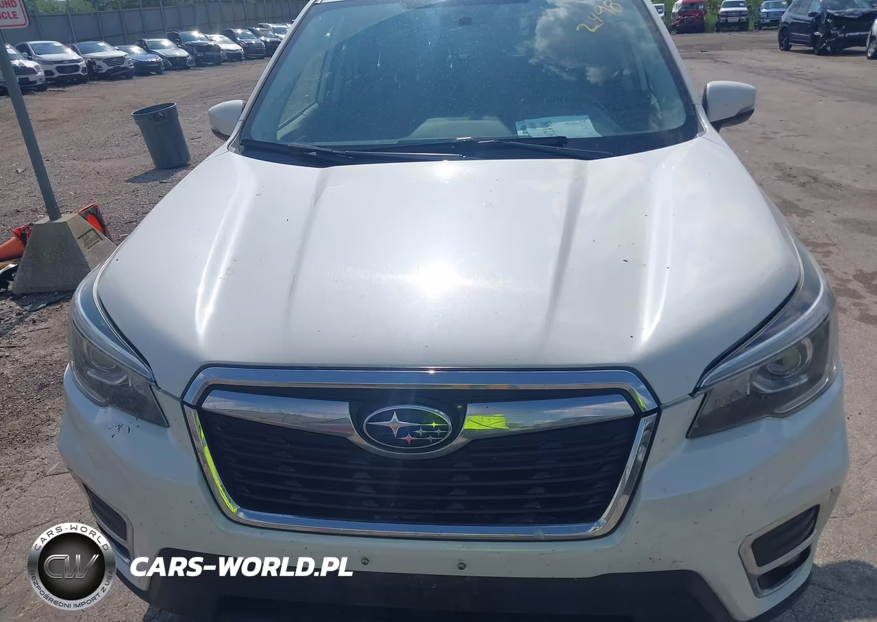 2019 Subaru Forester Limited VIN:JF2SKAUC0KH540399 - 6