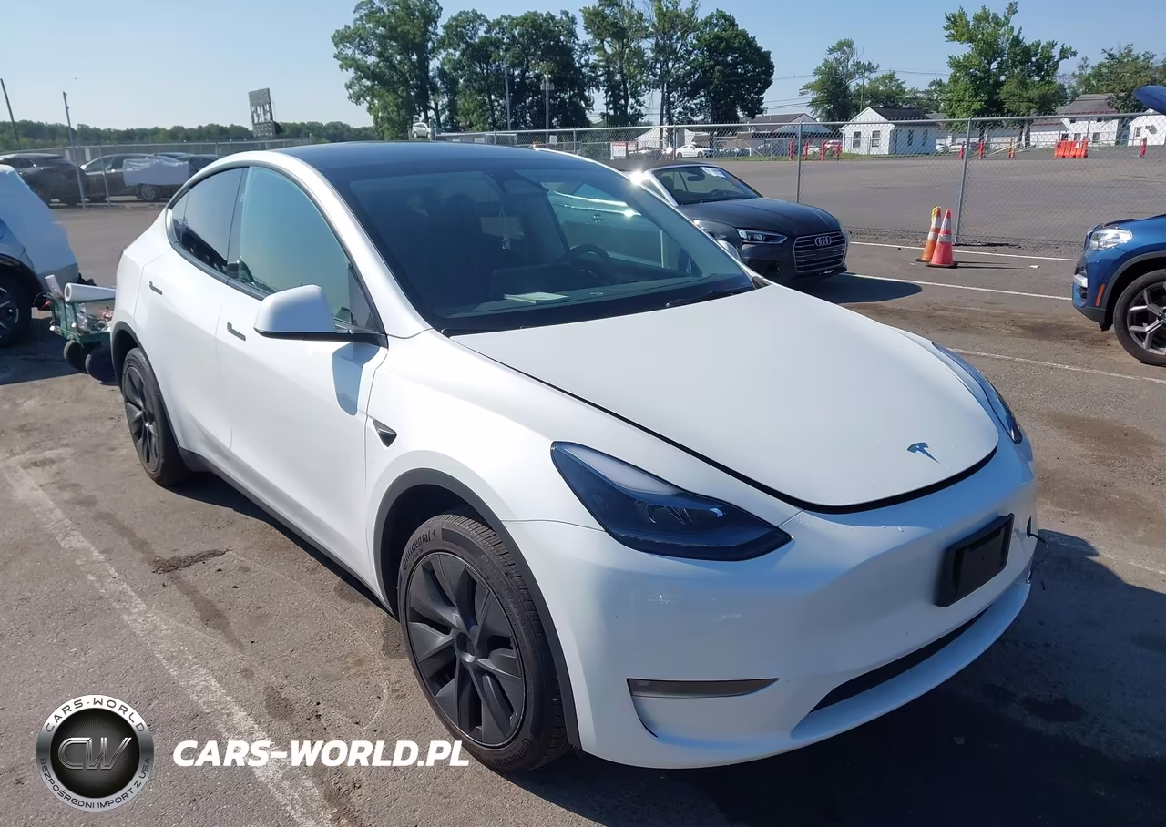 2024 Tesla Model Y Long Range Dual Motor All-Wheel Drive VIN:7SAYGDEE9RF152273 - 1