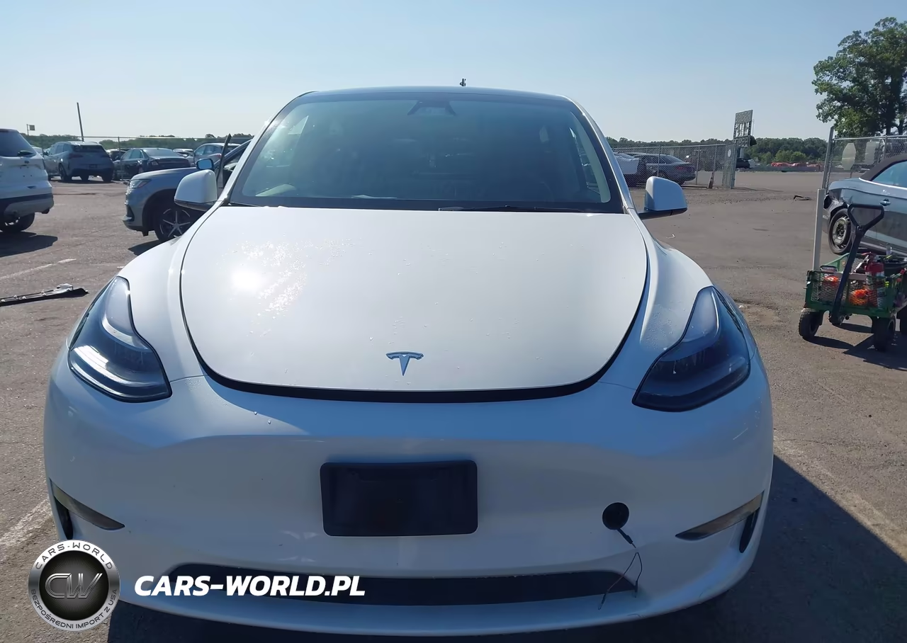 2024 Tesla Model Y Long Range Dual Motor All-Wheel Drive VIN:7SAYGDEE9RF152273 - 6