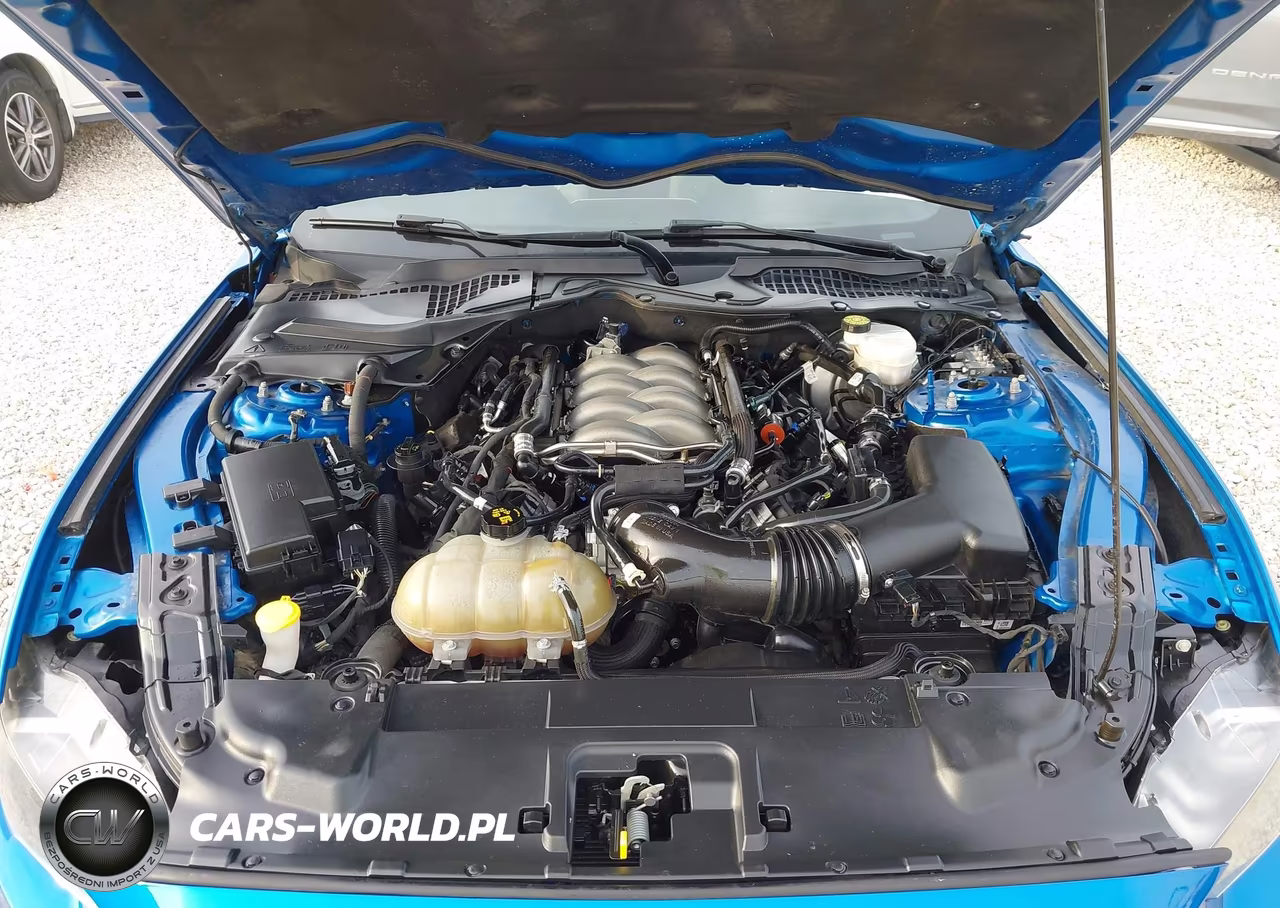2019 Ford Mustang Gt VIN:1FA6P8CF6K5202082 - 10