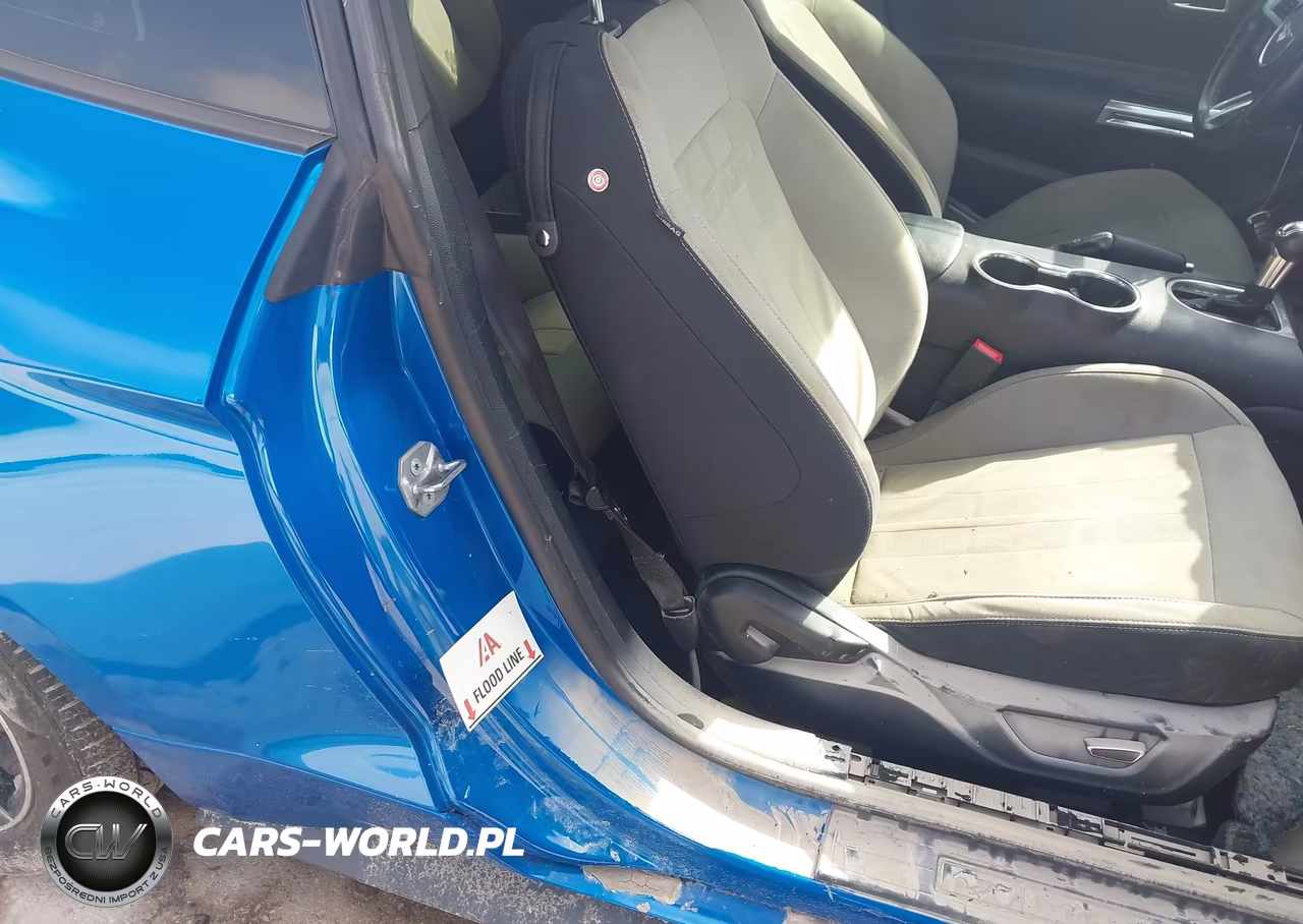 2019 Ford Mustang Gt VIN:1FA6P8CF6K5202082 - 13