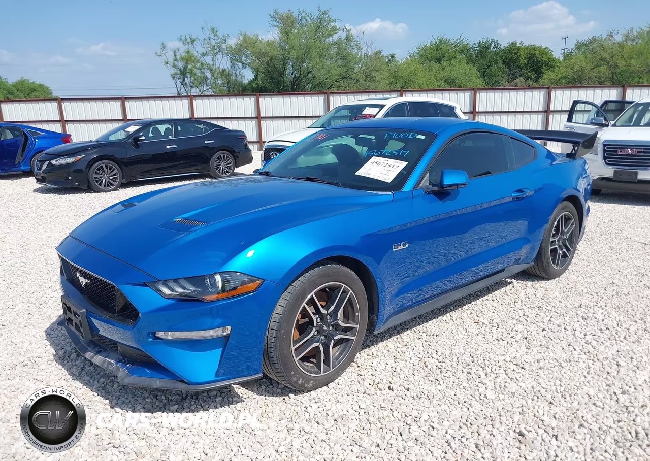 2019 Ford Mustang Gt VIN:1FA6P8CF6K5202082 - 2