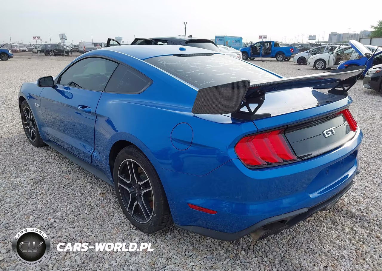 2019 Ford Mustang Gt VIN:1FA6P8CF6K5202082 - 3