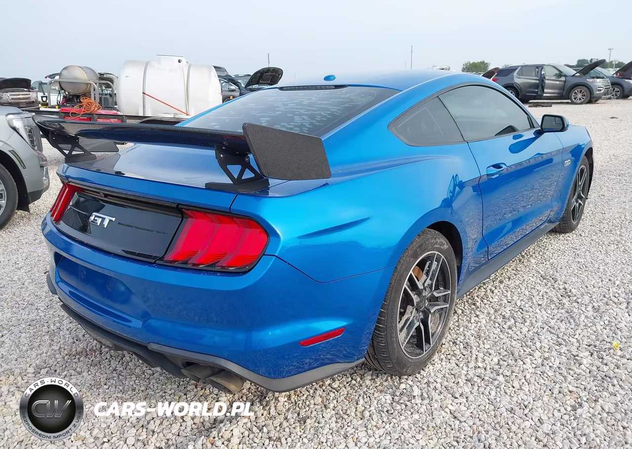 2019 Ford Mustang Gt VIN:1FA6P8CF6K5202082 - 4