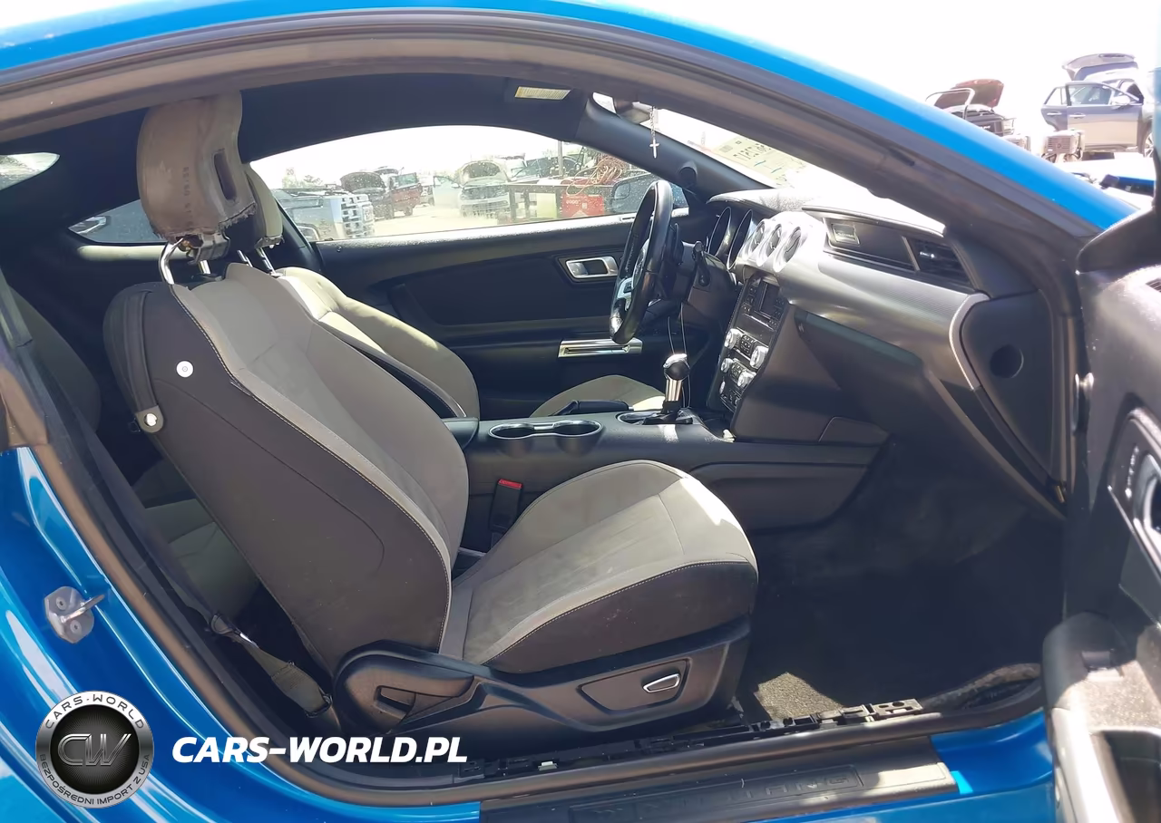 2019 Ford Mustang Gt VIN:1FA6P8CF6K5202082 - 5