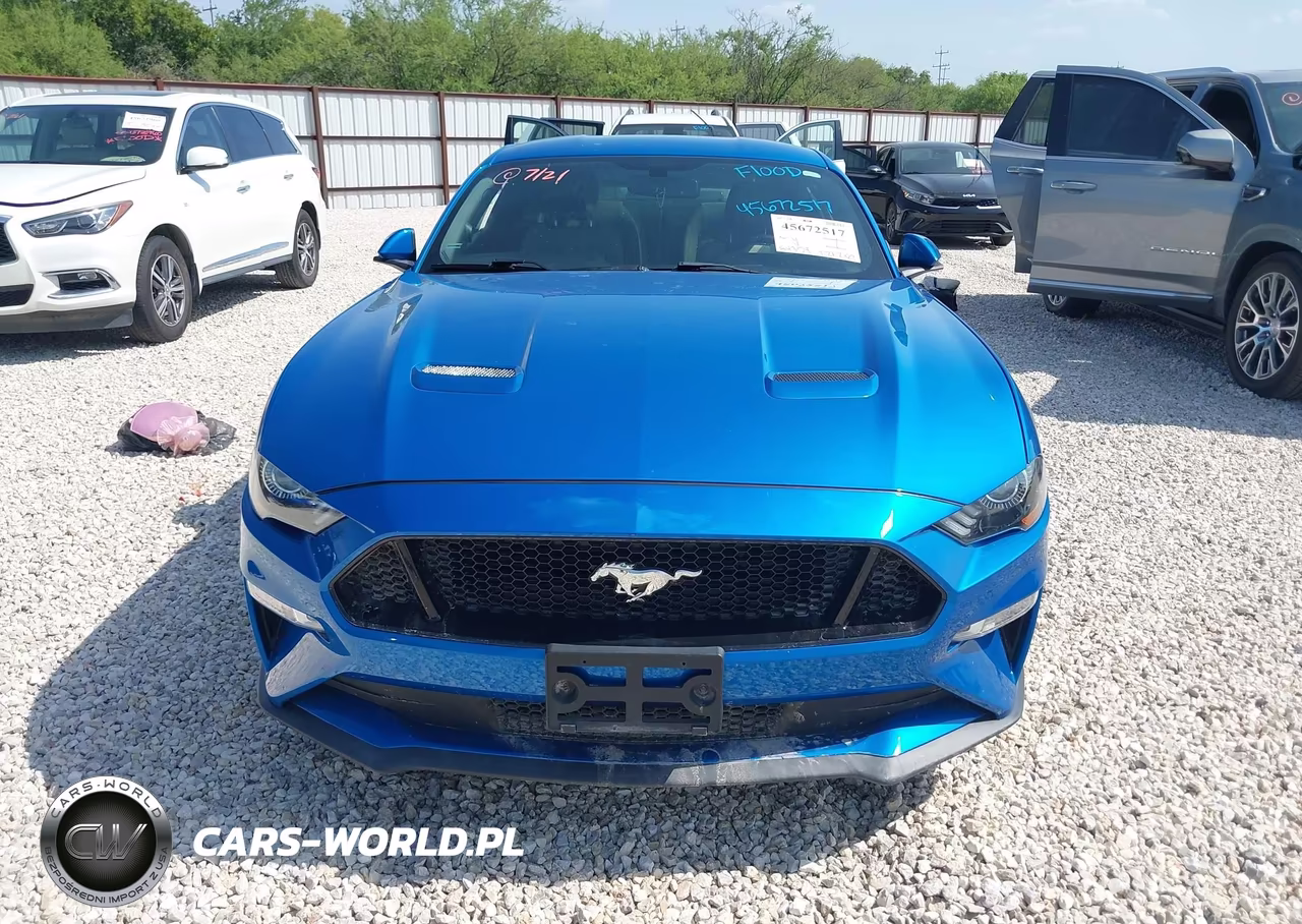 2019 Ford Mustang Gt VIN:1FA6P8CF6K5202082 - 6