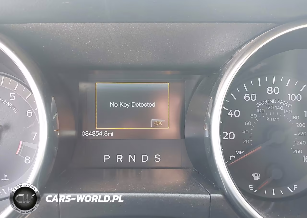 2019 Ford Mustang Gt VIN:1FA6P8CF6K5202082 - 7