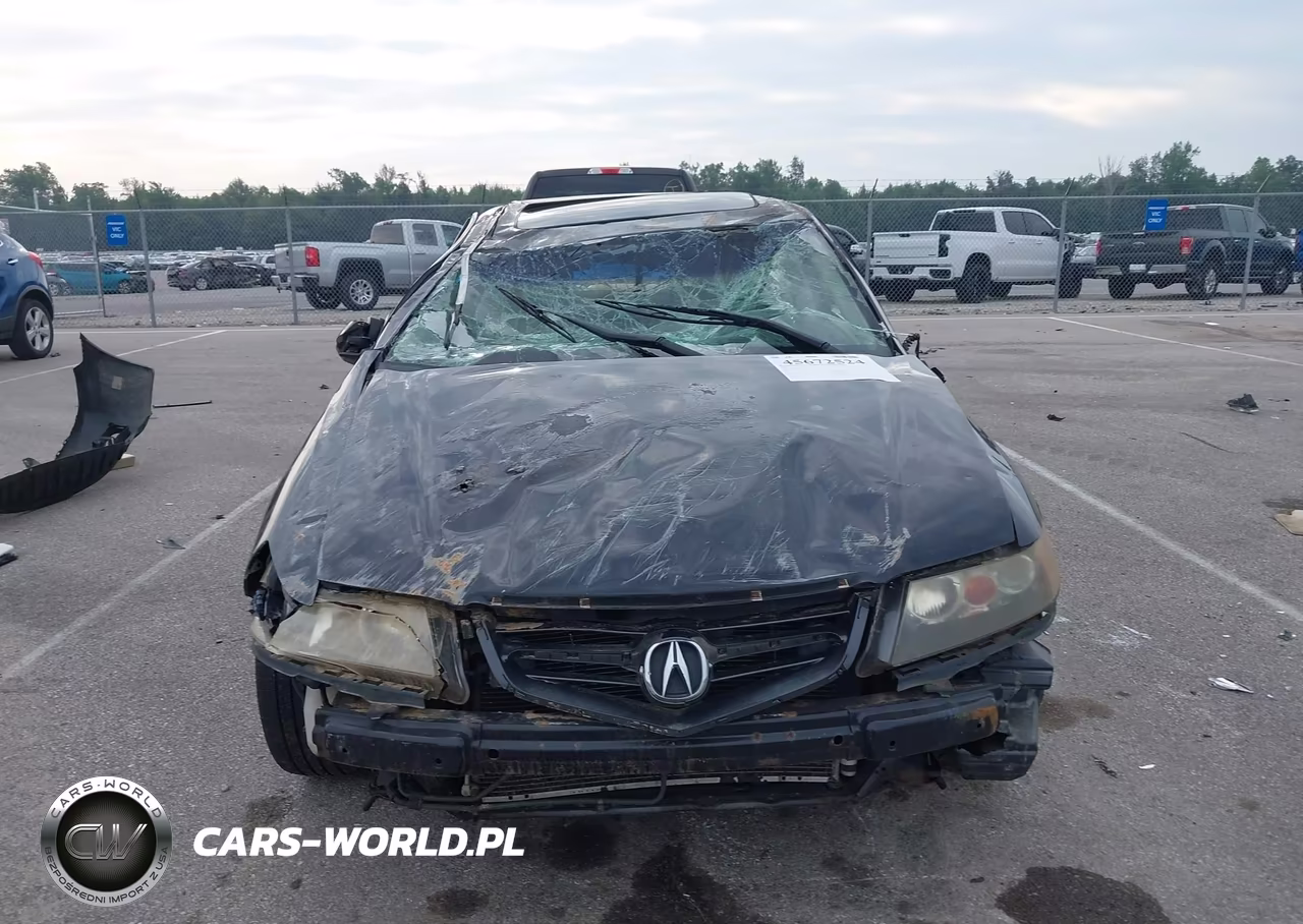2004 Acura Tsx VIN:JH4CL96964C017306 - 13