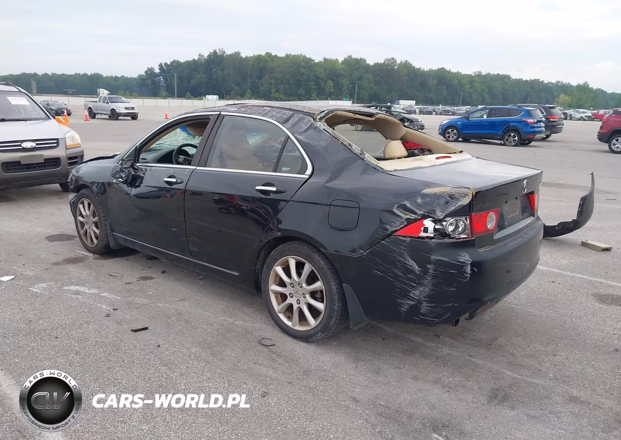 2004 Acura Tsx VIN:JH4CL96964C017306 - 3