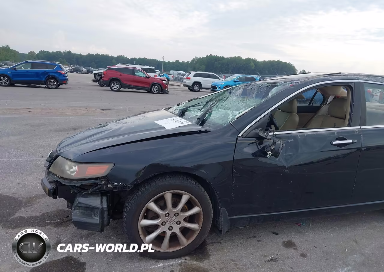 2004 Acura Tsx VIN:JH4CL96964C017306 - 6
