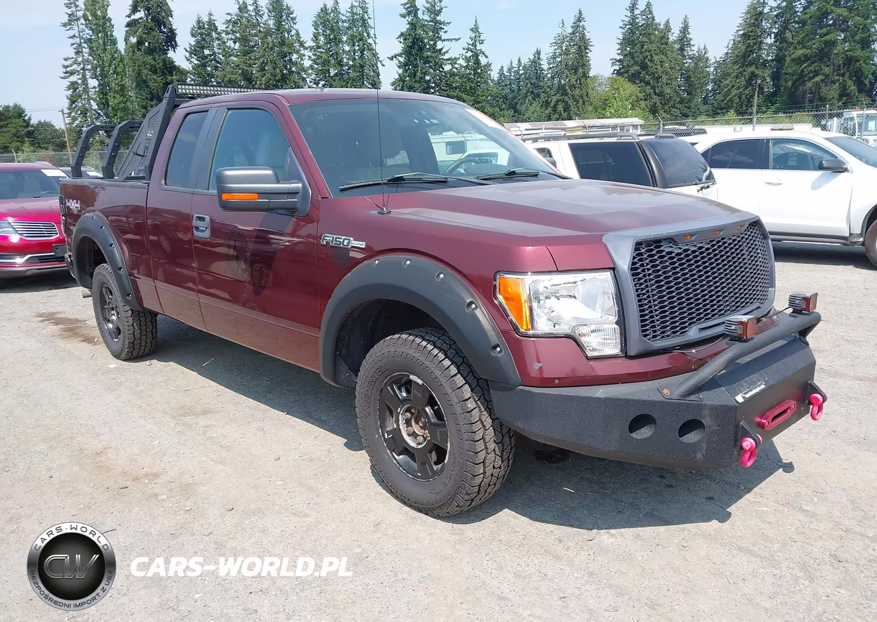 2010 Ford F-150 Fx4-Lariat-Xl-Xlt VIN:1FTFX1EV1AFC58123 - 1