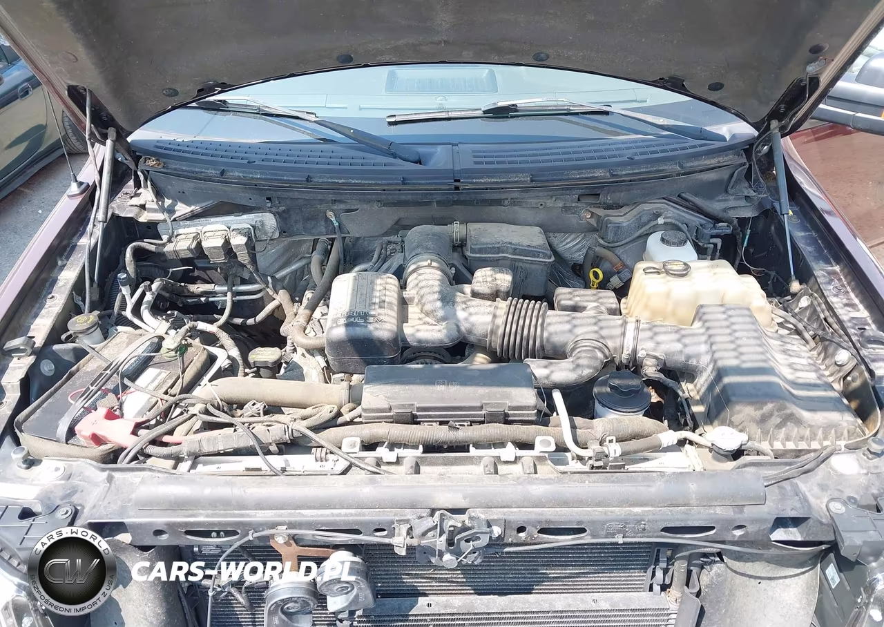 2010 Ford F-150 Fx4-Lariat-Xl-Xlt VIN:1FTFX1EV1AFC58123 - 10