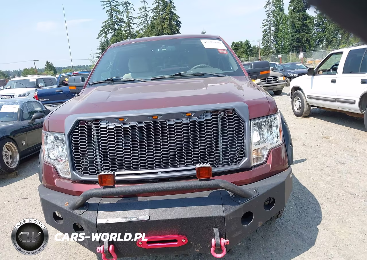2010 Ford F-150 Fx4-Lariat-Xl-Xlt VIN:1FTFX1EV1AFC58123 - 12