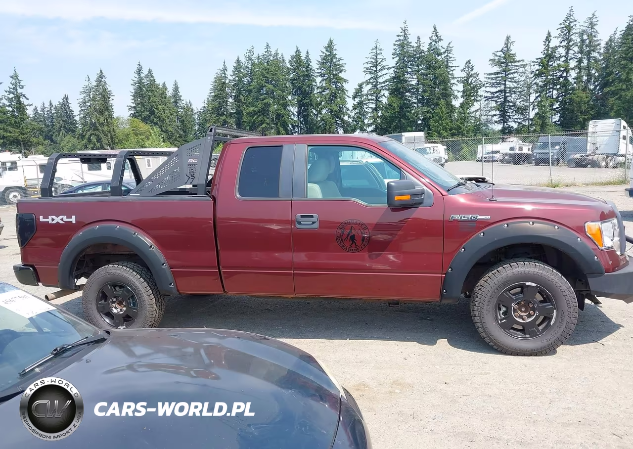 2010 Ford F-150 Fx4-Lariat-Xl-Xlt VIN:1FTFX1EV1AFC58123 - 13