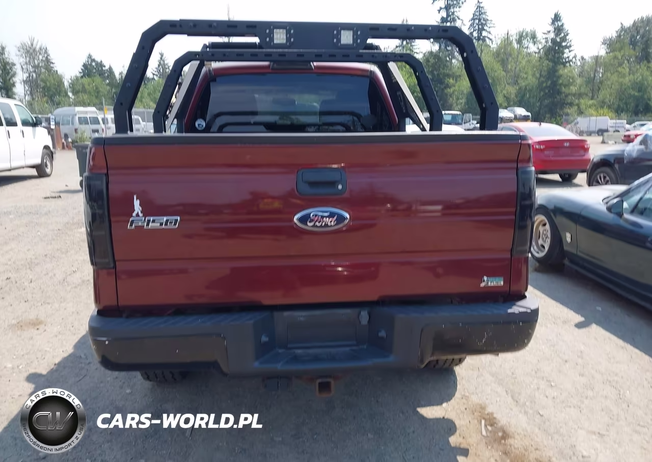 2010 Ford F-150 Fx4-Lariat-Xl-Xlt VIN:1FTFX1EV1AFC58123 - 16
