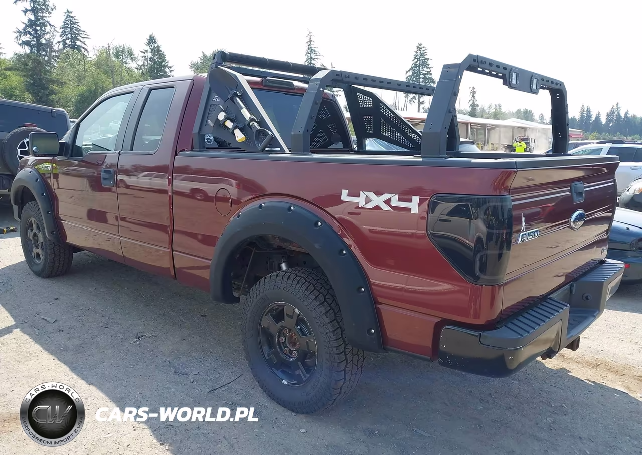 2010 Ford F-150 Fx4-Lariat-Xl-Xlt VIN:1FTFX1EV1AFC58123 - 3